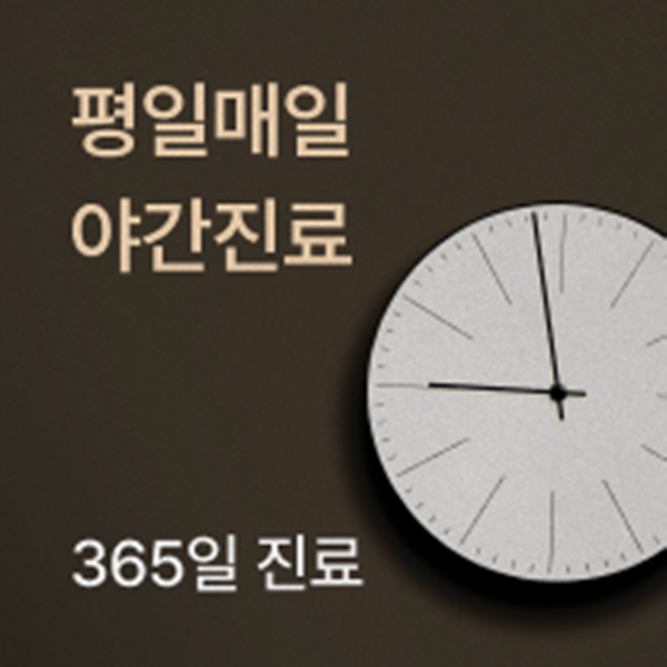 365일 진료, 평일매일 야간진료